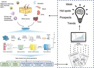 Proteomics as a tool to improve novel insights into skin diseases: what we know and where we should be going